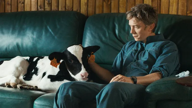 Storyline: Global Village